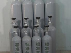 标准气体 